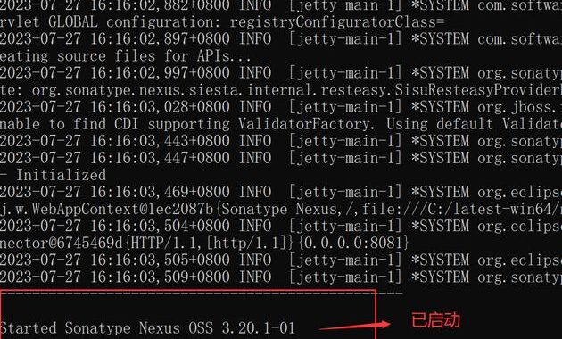 nexus中文版：全面指南与详细操作步骤