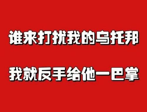 请用你的手指打扰我：探索指尖互动的乐趣与技巧