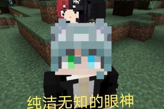 Jenny模组：打造个性化Minecraft体验的深度指南