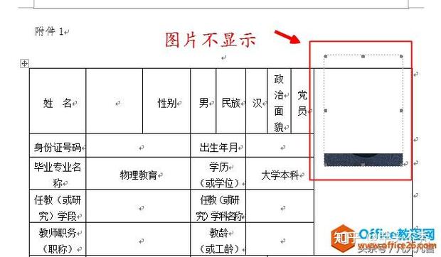 Word图片显示不全怎么办？专业解决方案来了！