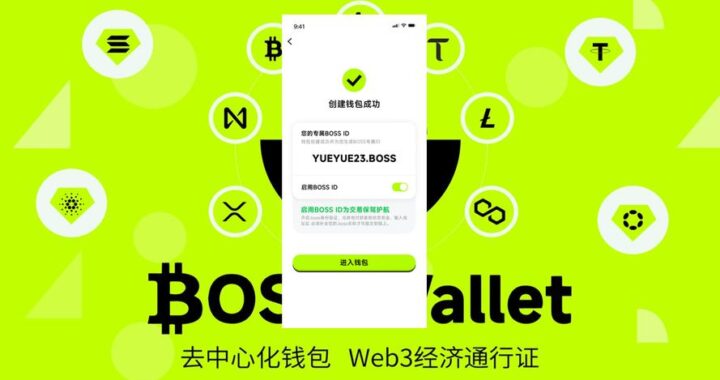 boss下载：详细步骤与实用指南