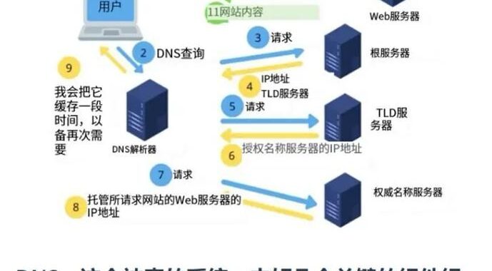 如何正确设置DNS服务器？