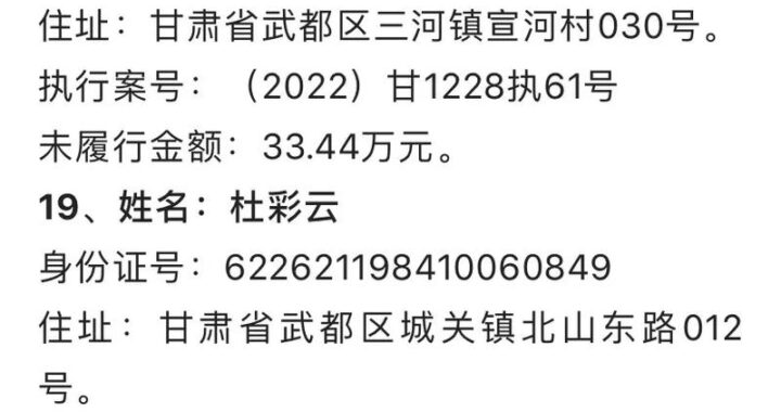 全国法院执行网：一站式解决执行难题的平台