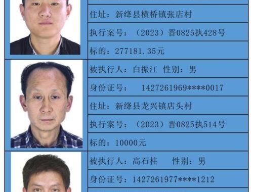 法院执行网被执行人查询：全面指南与操作步骤