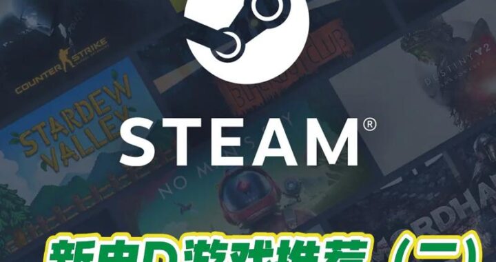 Steam私密游戏在哪？详细设置与查看指南