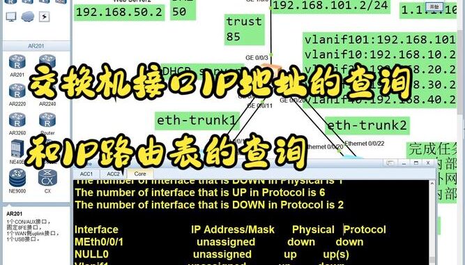 查询IP地址cmd：详细步骤与实用指南