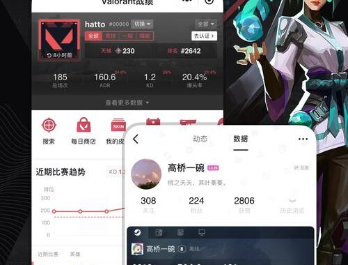 Steam小黑盒：游戏玩家的终极助手