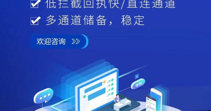 短信接码平台：全面解析与使用指南