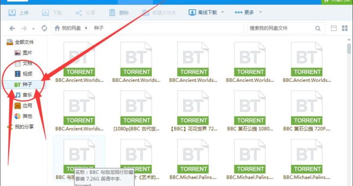 torrent文件：全面解析与使用指南