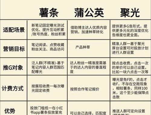 小红书在线解析：全面指南与实用步骤