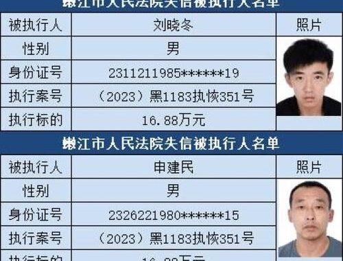 全国法院失信被执行人名单信息公布与查询平台：权威查询失信记录指南