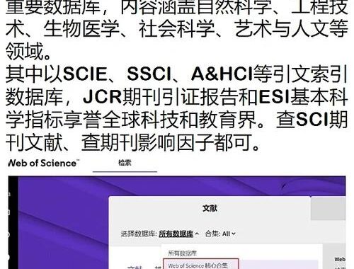 外网文献网站：全面指南与高效利用策略