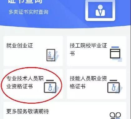 技能证书查询：全面指南与步骤详解