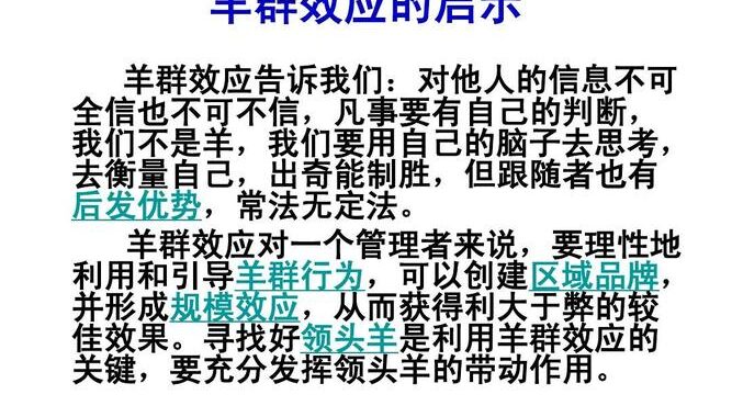 领头羊导航在线进入：全面指南与操作步骤