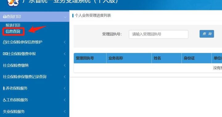 网站信息查询：全面指南与实用步骤