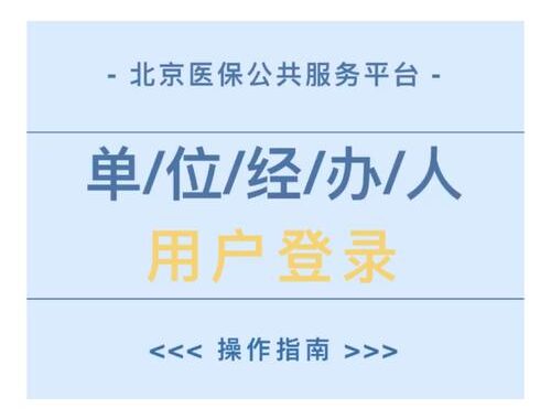 北京医保公共服务网上服务平台是什么？如何使用？