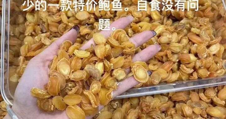 鲍鱼最新网址：一站式海鲜电商新体验