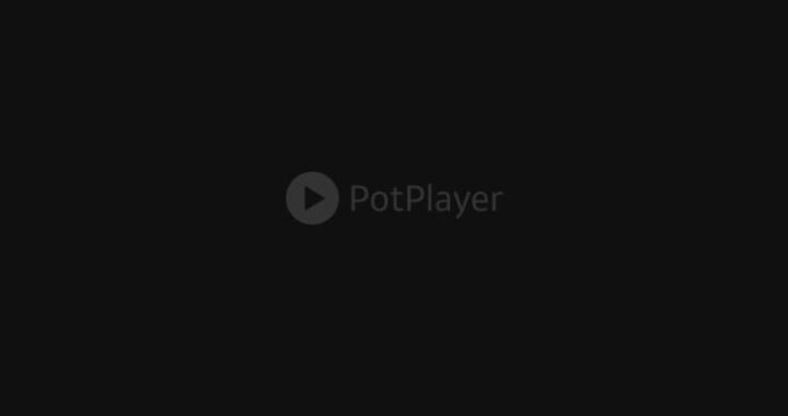 potplayer电脑版：全能视频播放器的深度解析与使用指南