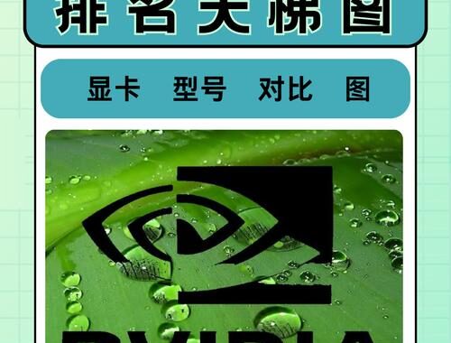 英伟达显卡驱动下载官网：详细步骤与指南