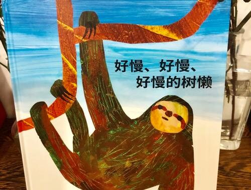 树懒叫工作室：创意与技术的完美融合