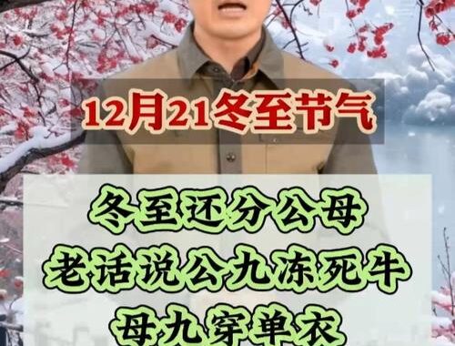 马未都说冬至：冬至习俗有哪些？如何传承传统文化？