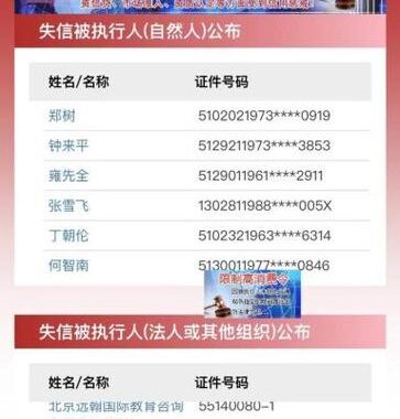 执行信息公开网：全面指南与操作详解