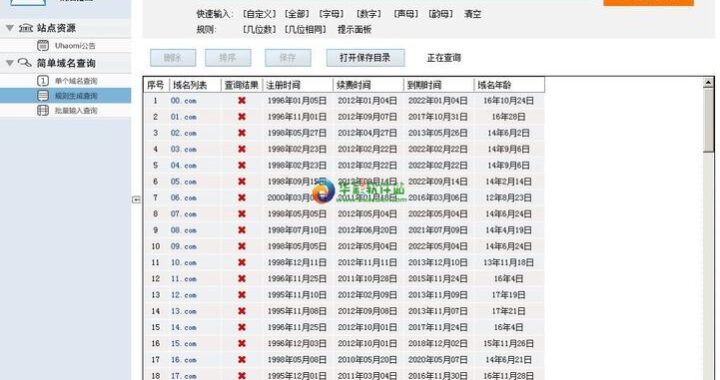 如何进行域名信息查询？全面指南与步骤解析