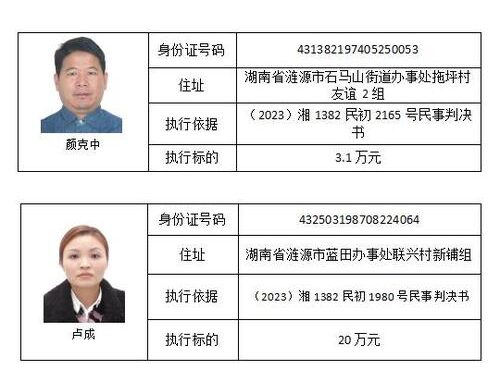 失信人员查询网上查询系统：全面指南与操作步骤