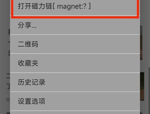 magnet下载：详细步骤与实用指南