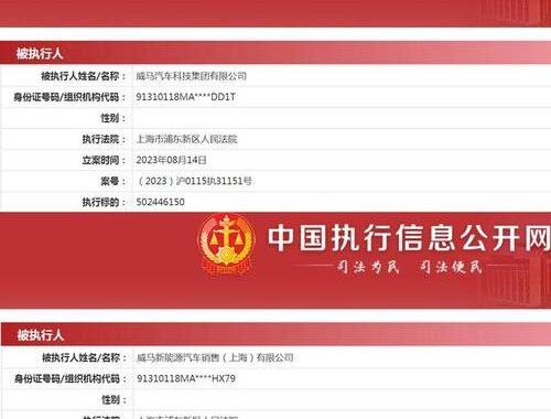 执行网信息查询：详细步骤与实用技巧