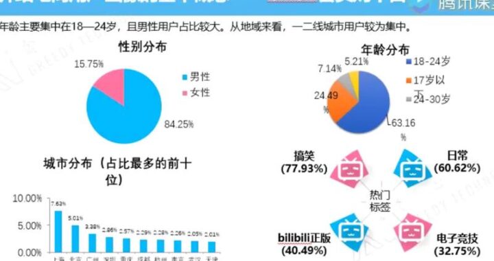 B站用户画像是什么？如何深入了解B站用户群体特征？