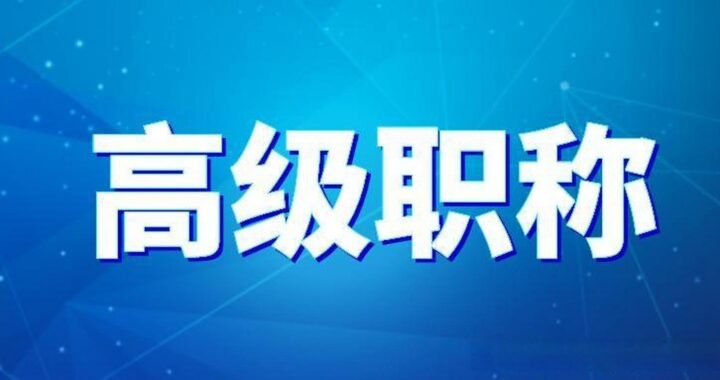 中国广西人才市场职称网：全面解析与操作指南