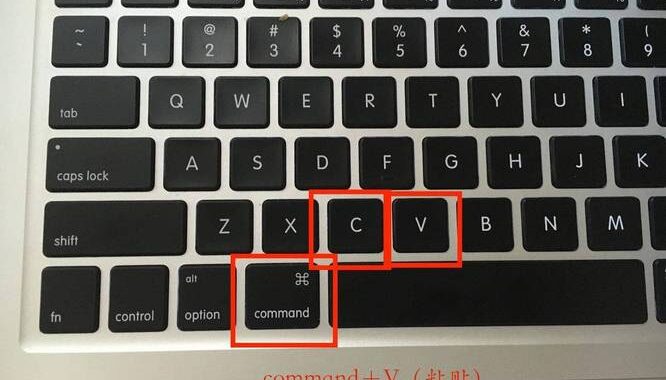 复制是ctrl加什么？详细指南教你如何快速掌握快捷键操作