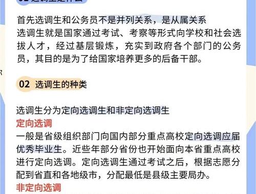 选调生报考条件是什么？全面解析报考要求与流程