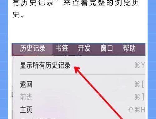 历史记录怎么删除？全面指南教你如何清除浏览器及操作系统历史