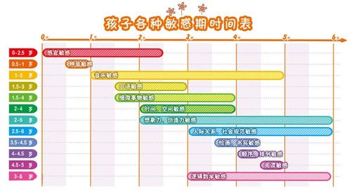 平衡能力敏感期大约集中在哪个年龄段？如何科学培养儿童平衡感？