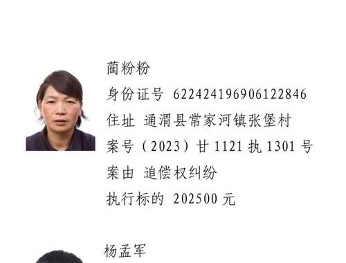 失信被执行人信息查询：如何查询、有哪些影响及应对策略？