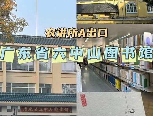 广州省立中山图书馆如何高效利用资源与服务？