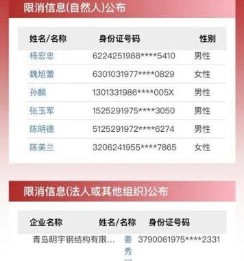 综合执行信息公开网是什么？如何高效利用该网站获取执行信息？