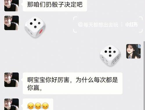 网调任务大全：全面了解网络调查的步骤与技巧