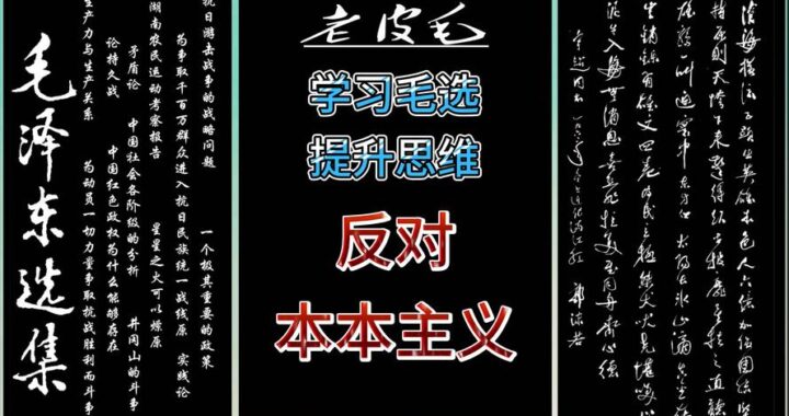 没有调查就没有发言权出自于哪里：毛泽东《反对本本主义》的深度解读