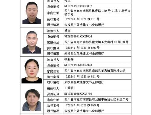 执行网被执行人查询：全面指南与详细步骤